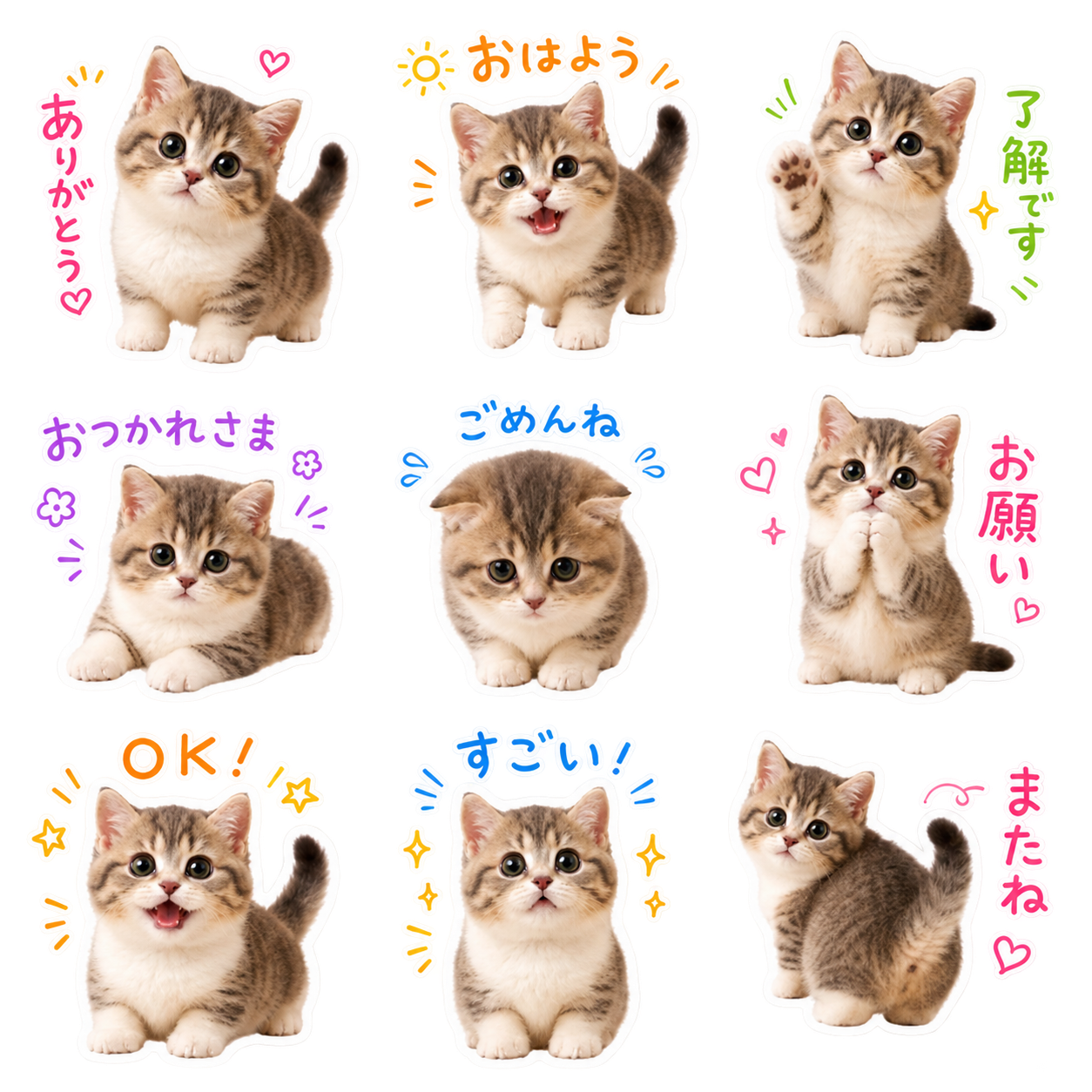 実写ゆるデコのLINEスタンプ作風サンプル