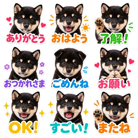 顔アップ太文字風の参考画像