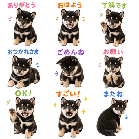 実写ナチュラルの参考画像