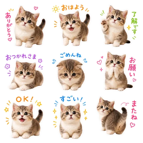 実写ゆるデコの参考画像