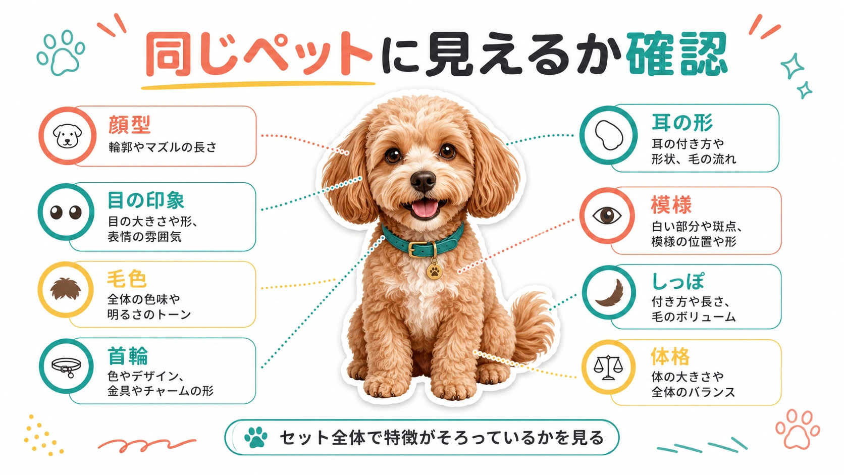 AIペットスタンプのセット内で個体特徴を統一する確認ポイント
